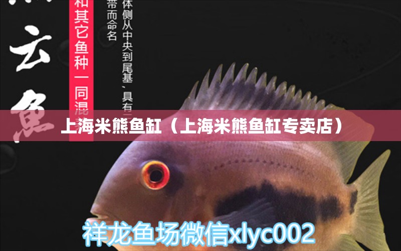 上海米熊魚缸（上海米熊魚缸專賣店） 喂食器