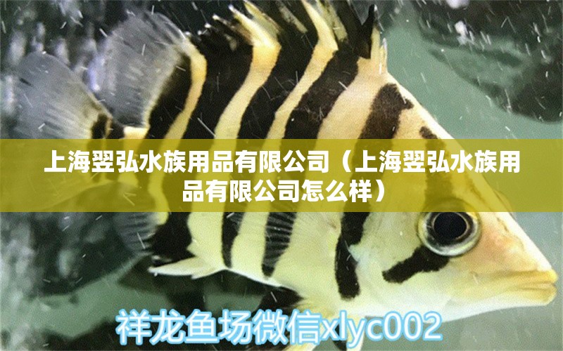 上海翌弘水族用品有限公司（上海翌弘水族用品有限公司怎么樣） 水族用品