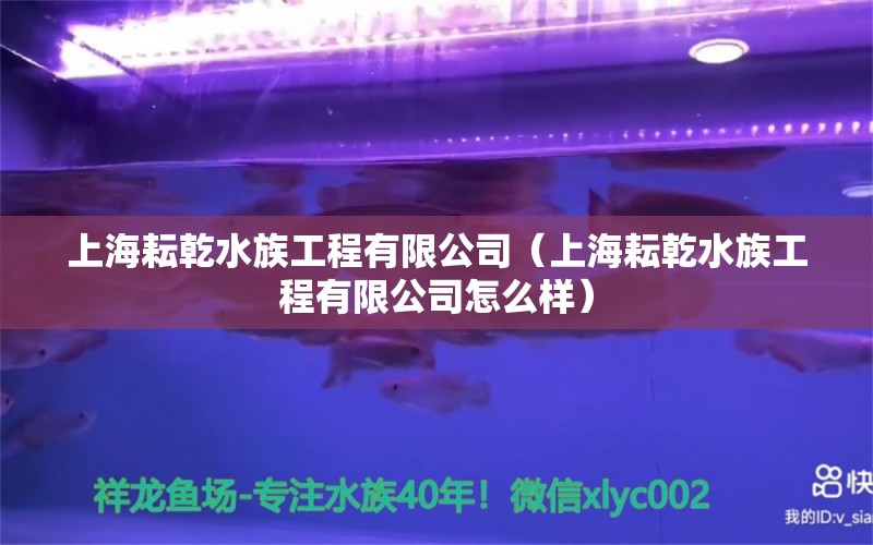 上海耘乾水族工程有限公司（上海耘乾水族工程有限公司怎么樣）