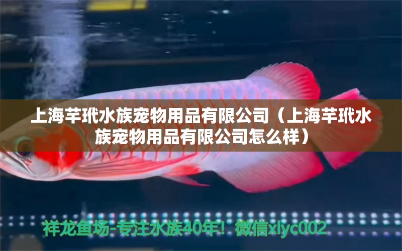 上海芊玳水族寵物用品有限公司（上海芊玳水族寵物用品有限公司怎么樣） 全國水族館企業(yè)名錄