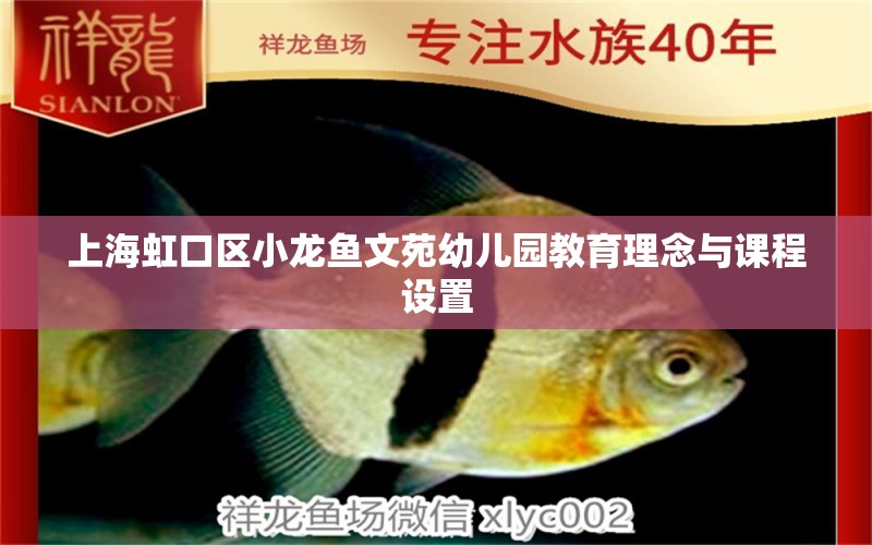 上海虹口區(qū)小龍魚(yú)文苑幼兒園教育理念與課程設(shè)置