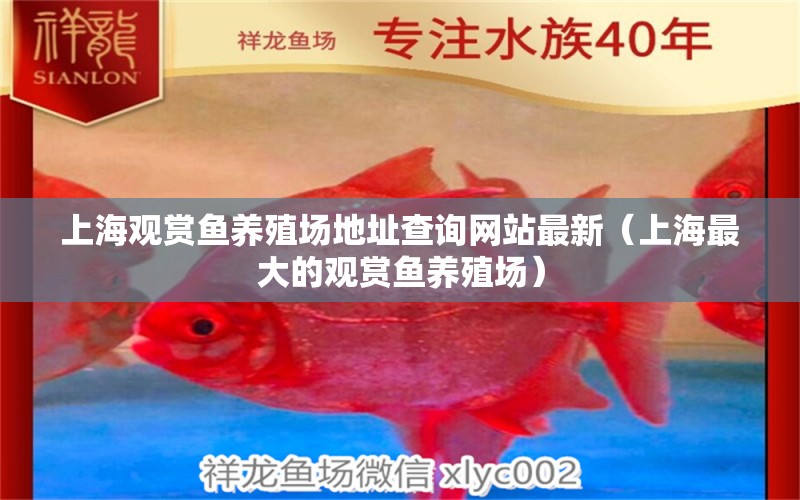 上海觀賞魚養(yǎng)殖場地址查詢網(wǎng)站最新（上海最大的觀賞魚養(yǎng)殖場）