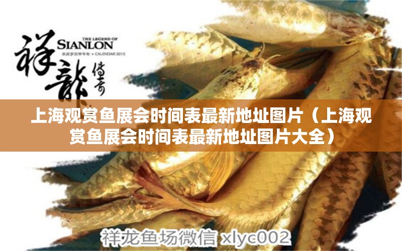 上海觀賞魚展會時間表最新地址圖片（上海觀賞魚展會時間表最新地址圖片大全）