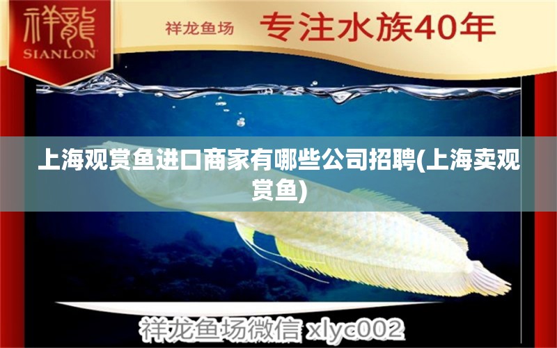 上海觀賞魚(yú)進(jìn)口商家有哪些公司招聘(上海賣(mài)觀賞魚(yú)) 觀賞魚(yú)進(jìn)出口 第1張