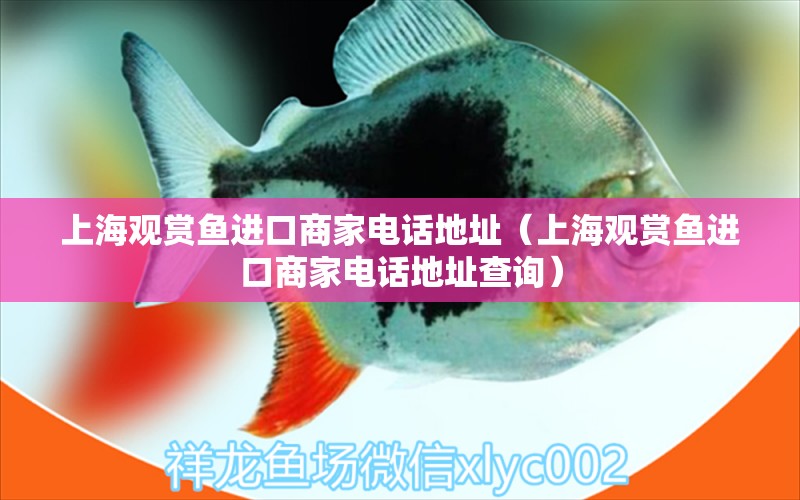 上海觀賞魚進口商家電話地址（上海觀賞魚進口商家電話地址查詢） 觀賞魚進出口