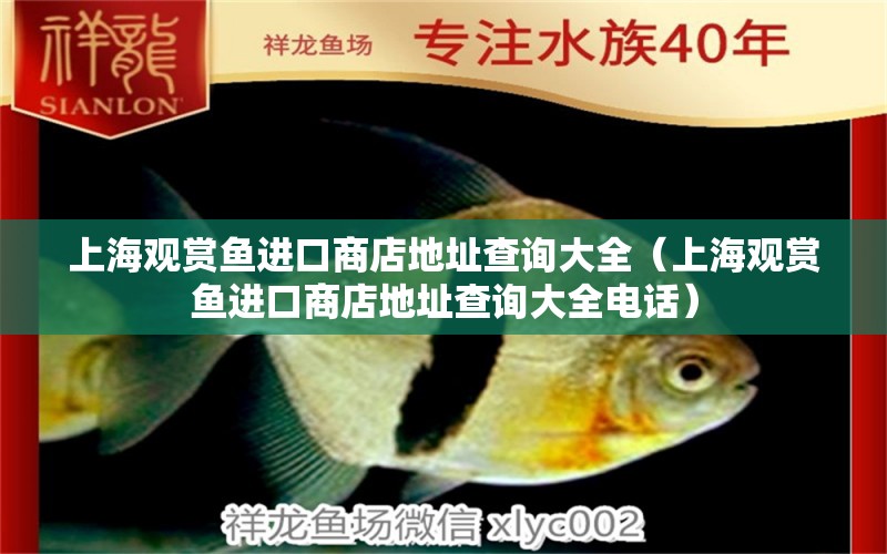 上海觀賞魚進口商店地址查詢大全（上海觀賞魚進口商店地址查詢大全電話） 觀賞魚進出口