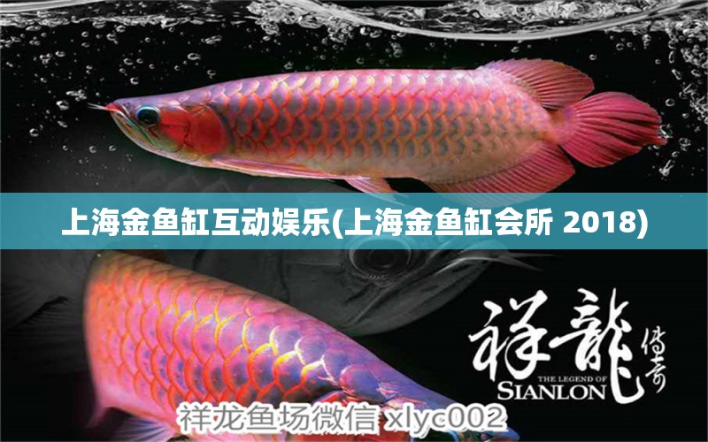 上海金魚(yú)缸互動(dòng)娛樂(lè)(上海金魚(yú)缸會(huì)所 2018) 觀賞魚(yú)飼料