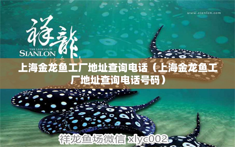 上海金龍魚工廠地址查詢電話（上海金龍魚工廠地址查詢電話號碼）