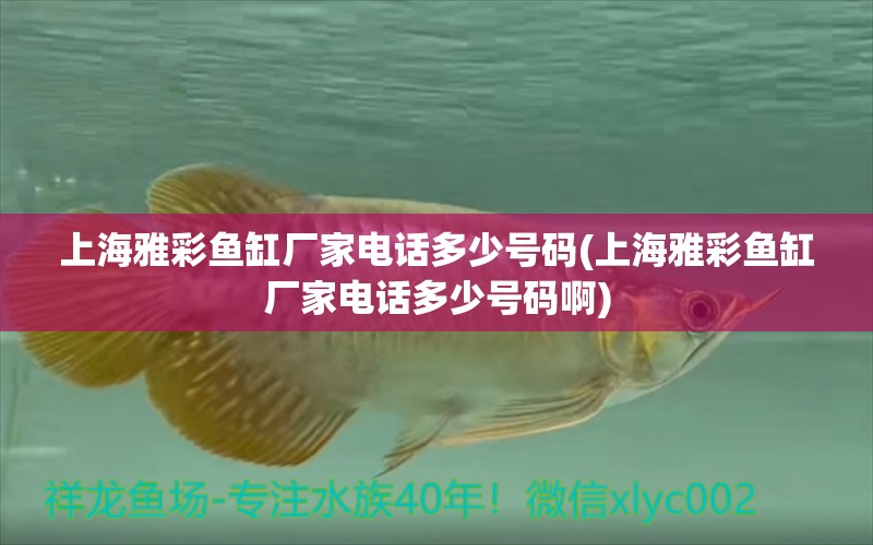 上海雅彩魚缸廠家電話多少號碼(上海雅彩魚缸廠家電話多少號碼啊)