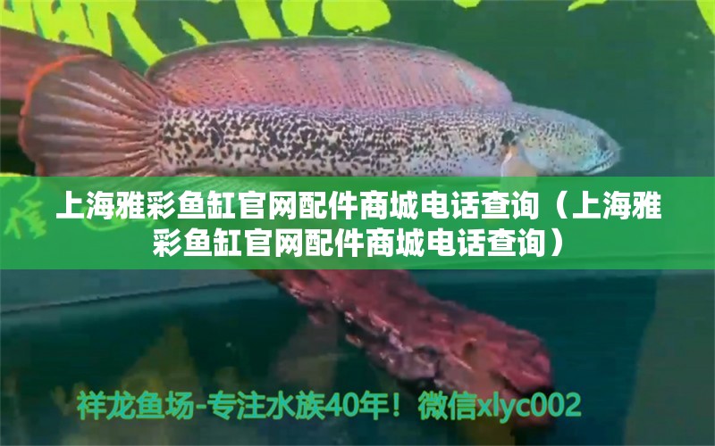 上海雅彩魚缸官網(wǎng)配件商城電話查詢（上海雅彩魚缸官網(wǎng)配件商城電話查詢） 大嘴鯨魚