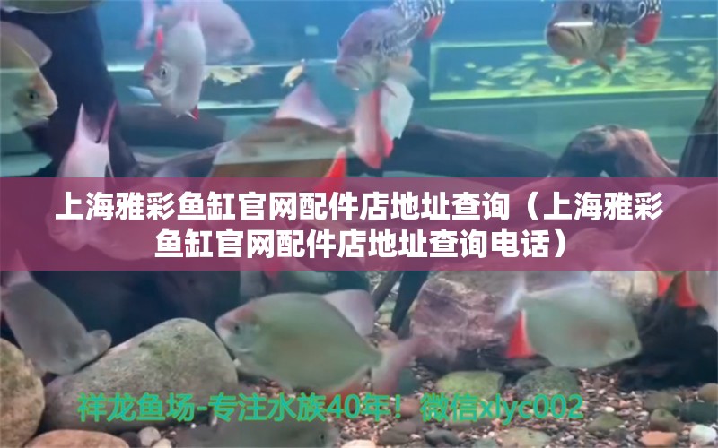 上海雅彩魚缸官網(wǎng)配件店地址查詢（上海雅彩魚缸官網(wǎng)配件店地址查詢電話） 量子養(yǎng)魚技術(shù)