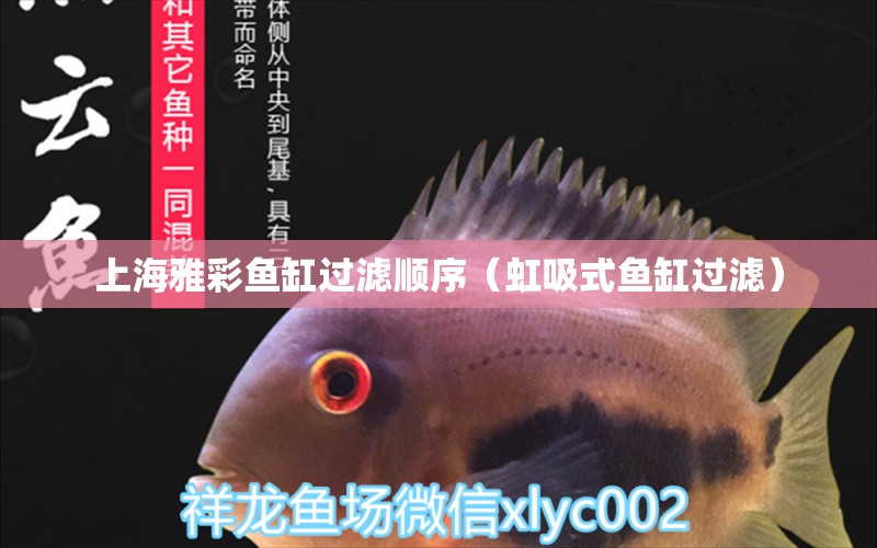 上海雅彩魚(yú)缸過(guò)濾順序（虹吸式魚(yú)缸過(guò)濾） 照明器材