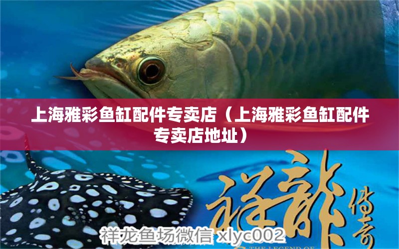 上海雅彩魚缸配件專賣店（上海雅彩魚缸配件專賣店地址）