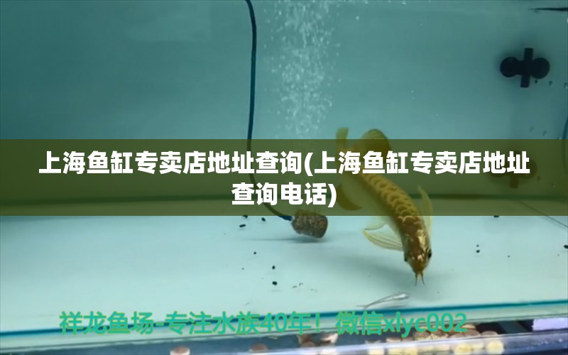 上海魚缸專賣店地址查詢(上海魚缸專賣店地址查詢電話) 三間鼠魚苗