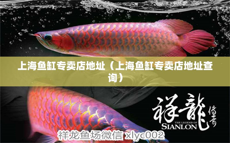 上海魚缸專賣店地址（上海魚缸專賣店地址查詢）