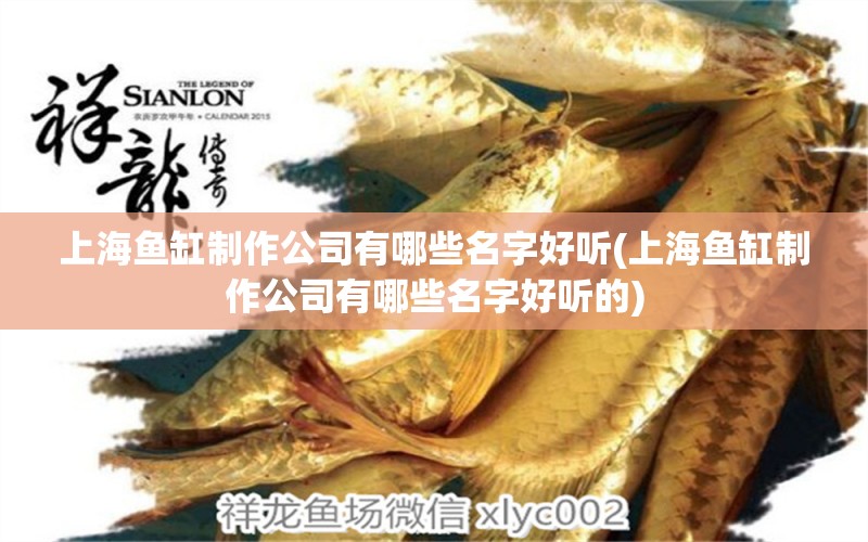 上海魚缸制作公司有哪些名字好聽(上海魚缸制作公司有哪些名字好聽的) 生態(tài)瓶/創(chuàng)意缸/桌面微景缸