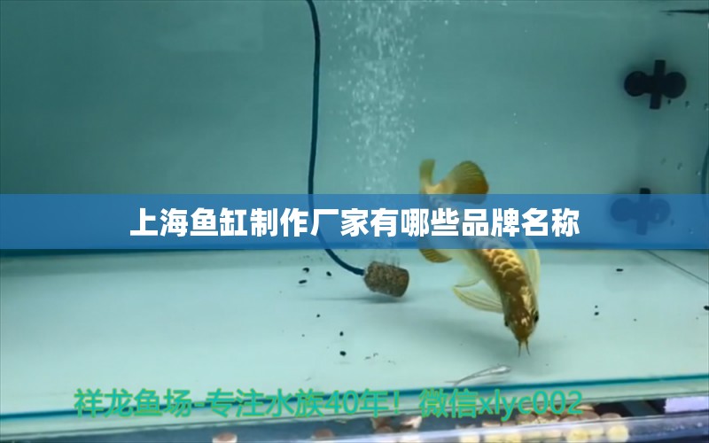 上海魚缸制作廠家有哪些品牌名稱