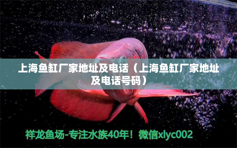 上海魚缸廠家地址及電話（上海魚缸廠家地址及電話號(hào)碼） 其他品牌魚缸