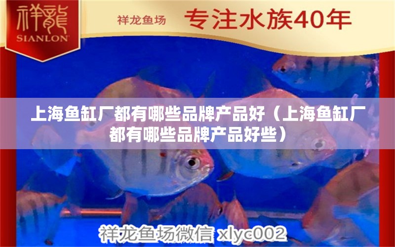 上海魚缸廠都有哪些品牌產(chǎn)品好（上海魚缸廠都有哪些品牌產(chǎn)品好些）