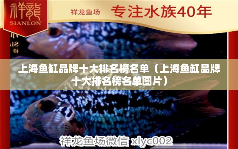 上海魚(yú)缸品牌十大排名榜名單（上海魚(yú)缸品牌十大排名榜名單圖片）