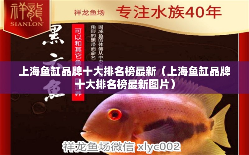 上海魚缸品牌十大排名榜最新（上海魚缸品牌十大排名榜最新圖片） 其他品牌魚缸