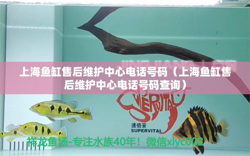 上海魚(yú)缸售后維護(hù)中心電話號(hào)碼（上海魚(yú)缸售后維護(hù)中心電話號(hào)碼查詢）