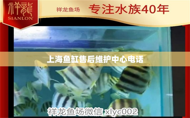 上海魚缸售后維護中心電話 其他品牌魚缸