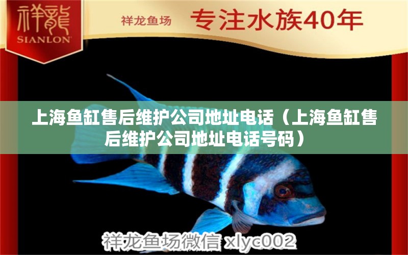 上海魚缸售后維護公司地址電話（上海魚缸售后維護公司地址電話號碼）