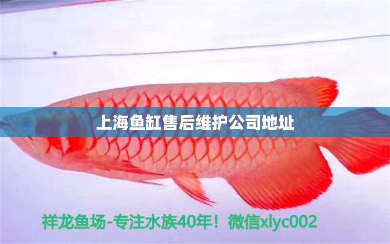 上海魚(yú)缸售后維護(hù)公司地址