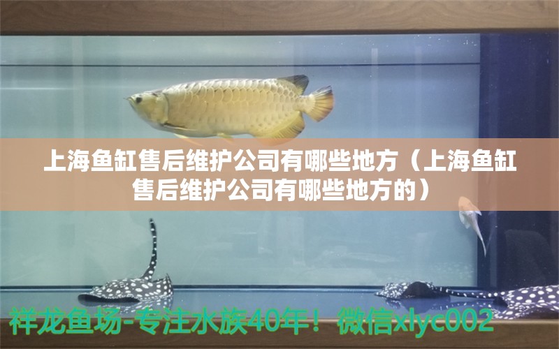 上海魚(yú)缸售后維護(hù)公司有哪些地方（上海魚(yú)缸售后維護(hù)公司有哪些地方的）