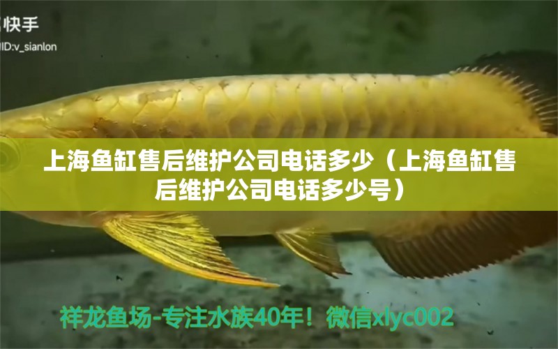 上海魚缸售后維護(hù)公司電話多少（上海魚缸售后維護(hù)公司電話多少號(hào)） 其他品牌魚缸