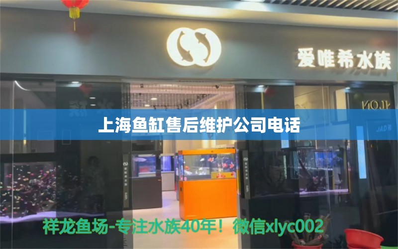 上海魚缸售后維護公司電話 其他品牌魚缸