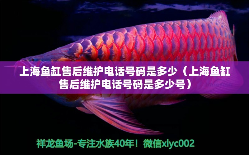 上海魚(yú)缸售后維護(hù)電話號(hào)碼是多少（上海魚(yú)缸售后維護(hù)電話號(hào)碼是多少號(hào)）