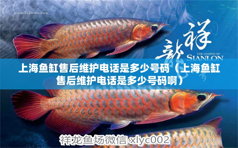 上海魚(yú)缸售后維護(hù)電話是多少號(hào)碼（上海魚(yú)缸售后維護(hù)電話是多少號(hào)碼?。? title=