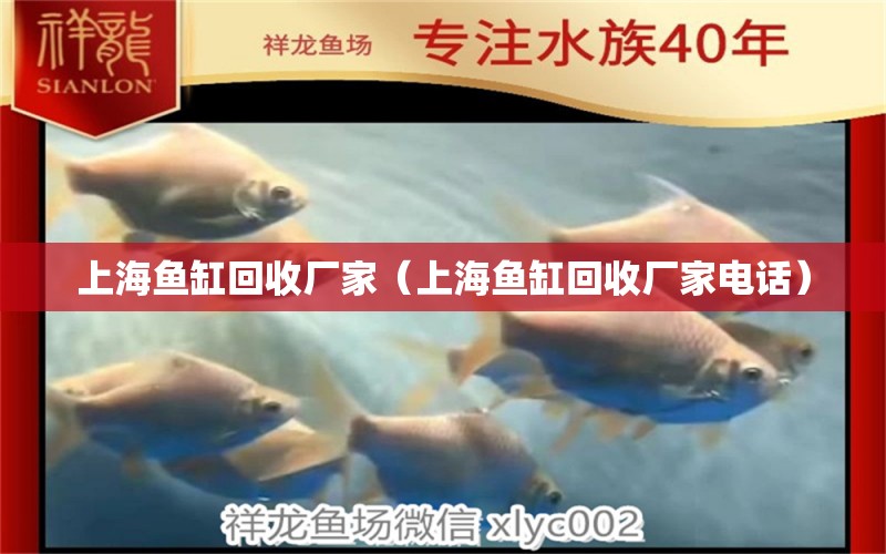 上海魚缸回收廠家（上海魚缸回收廠家電話）