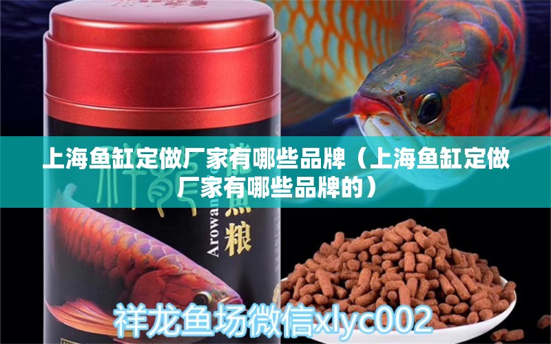 上海魚缸定做廠家有哪些品牌（上海魚缸定做廠家有哪些品牌的）