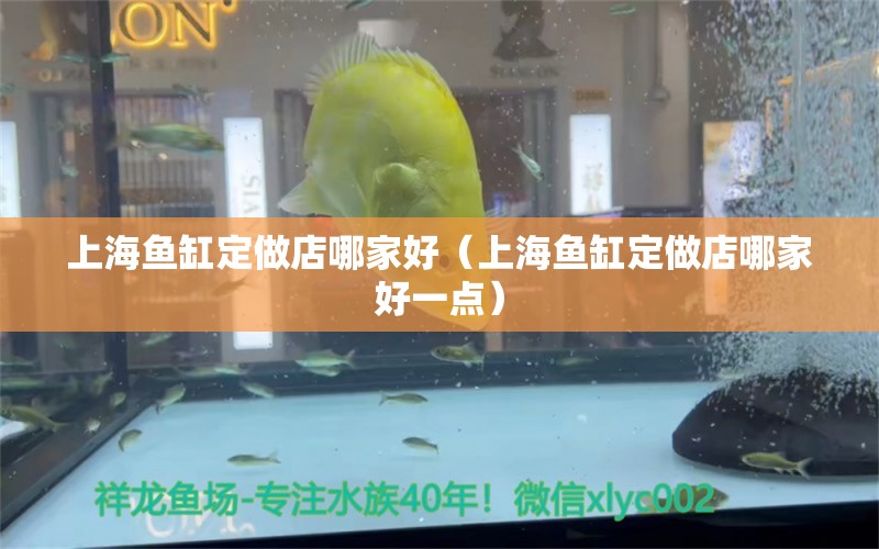 上海魚缸定做店哪家好（上海魚缸定做店哪家好一點(diǎn)）