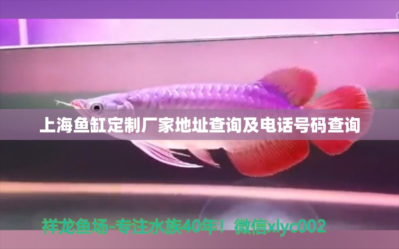 上海魚缸定制廠家地址查詢及電話號(hào)碼查詢 黑桃A魚