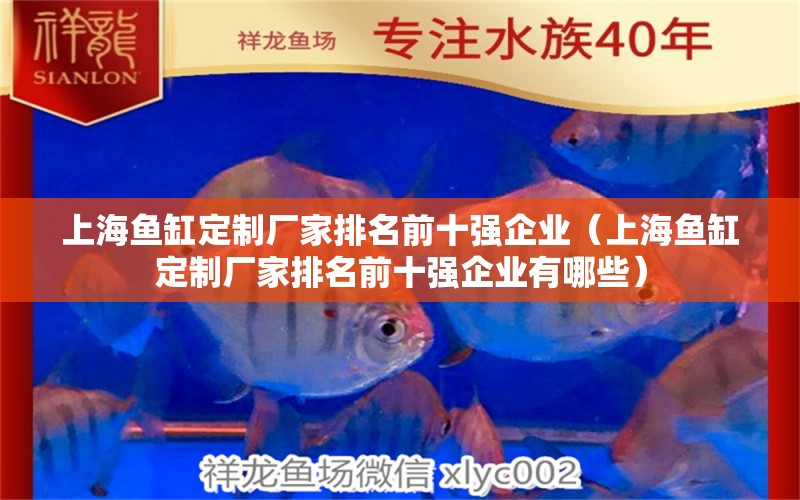 上海魚缸定制廠家排名前十強(qiáng)企業(yè)（上海魚缸定制廠家排名前十強(qiáng)企業(yè)有哪些）