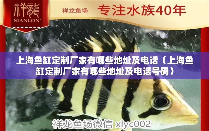 上海魚缸定制廠家有哪些地址及電話（上海魚缸定制廠家有哪些地址及電話號碼）