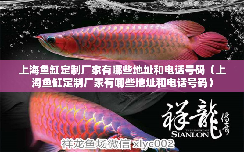 上海魚缸定制廠家有哪些地址和電話號(hào)碼（上海魚缸定制廠家有哪些地址和電話號(hào)碼）