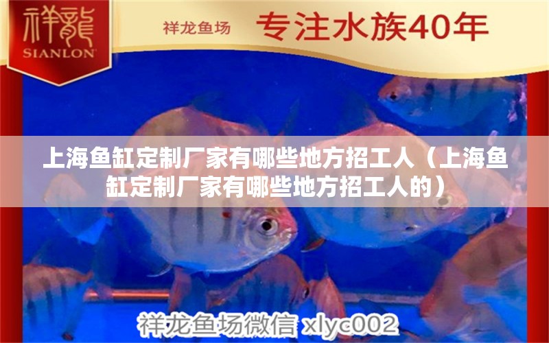 上海魚缸定制廠家有哪些地方招工人（上海魚缸定制廠家有哪些地方招工人的）