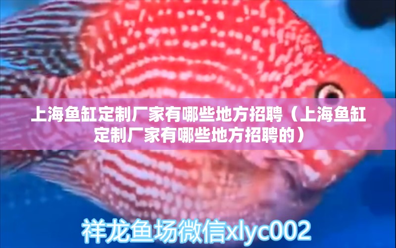 上海魚缸定制廠家有哪些地方招聘（上海魚缸定制廠家有哪些地方招聘的） 祥龍水族醫(yī)院