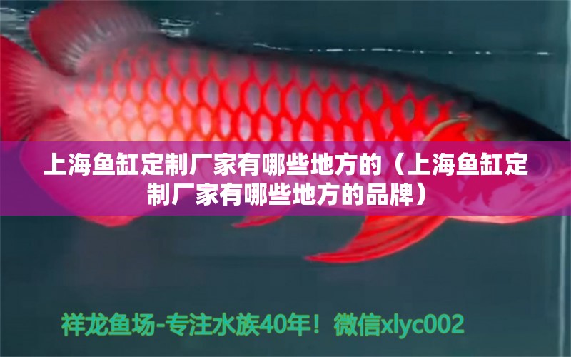 上海魚(yú)缸定制廠(chǎng)家有哪些地方的（上海魚(yú)缸定制廠(chǎng)家有哪些地方的品牌）