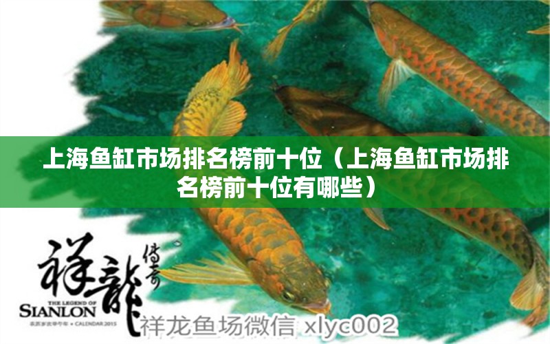 上海魚缸市場排名榜前十位（上海魚缸市場排名榜前十位有哪些） 黑白雙星魚