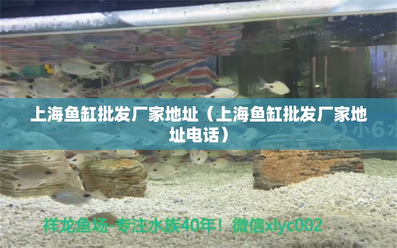 上海魚缸批發(fā)廠家地址（上海魚缸批發(fā)廠家地址電話）