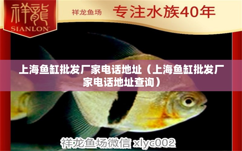 上海魚缸批發(fā)廠家電話地址（上海魚缸批發(fā)廠家電話地址查詢）