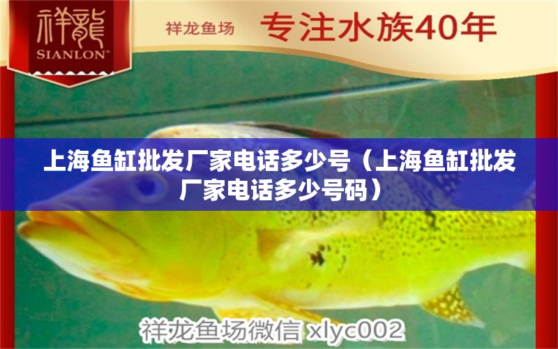 上海魚缸批發(fā)廠家電話多少號（上海魚缸批發(fā)廠家電話多少號碼）