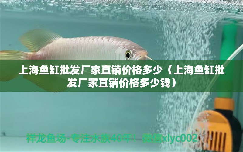 上海魚缸批發(fā)廠家直銷價格多少（上海魚缸批發(fā)廠家直銷價格多少錢）