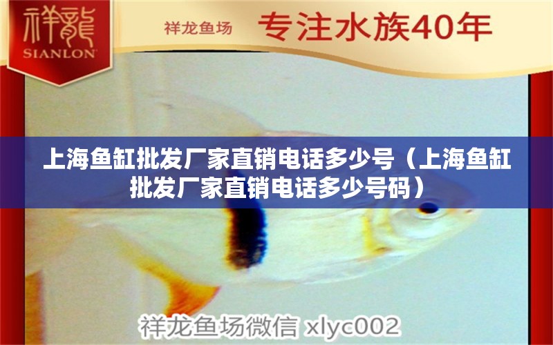 上海魚缸批發(fā)廠家直銷電話多少號（上海魚缸批發(fā)廠家直銷電話多少號碼）